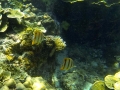 GOPR2687