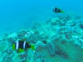 GOPR1867