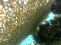 GOPR2478