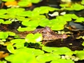 IMG_8079