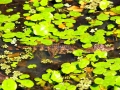 IMG_8081