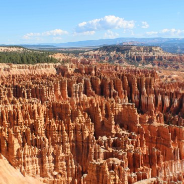 Bryce Canyon / Zion