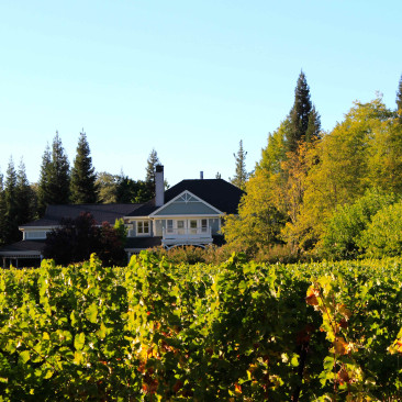 Napa Valley et Nord de San Francisco