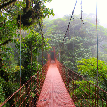Monteverde/ Volcan Arenal