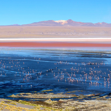 Uyuni & San Pedro de Atacama