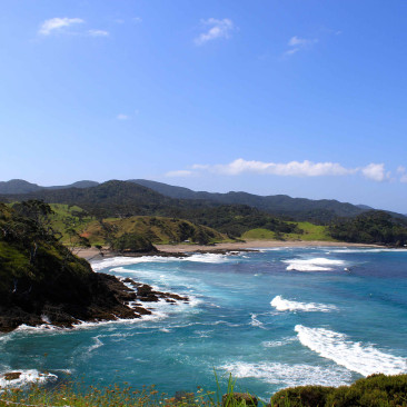 Bay of Islands / Hobbiton