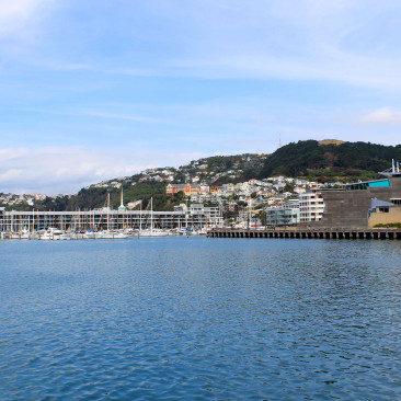 Wellington