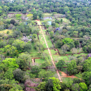 Dambulla / Sirigiya / Polonnaruwa